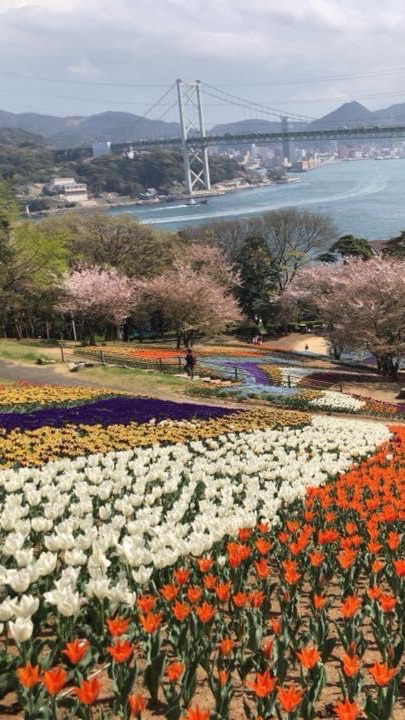 山口県の美味しい・楽しい・綺麗など情報交換しましょう