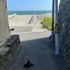 絶対平和的ユキちゃんオプチャ