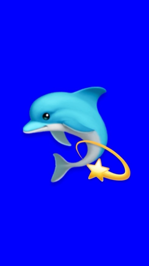 シモン🐬💫