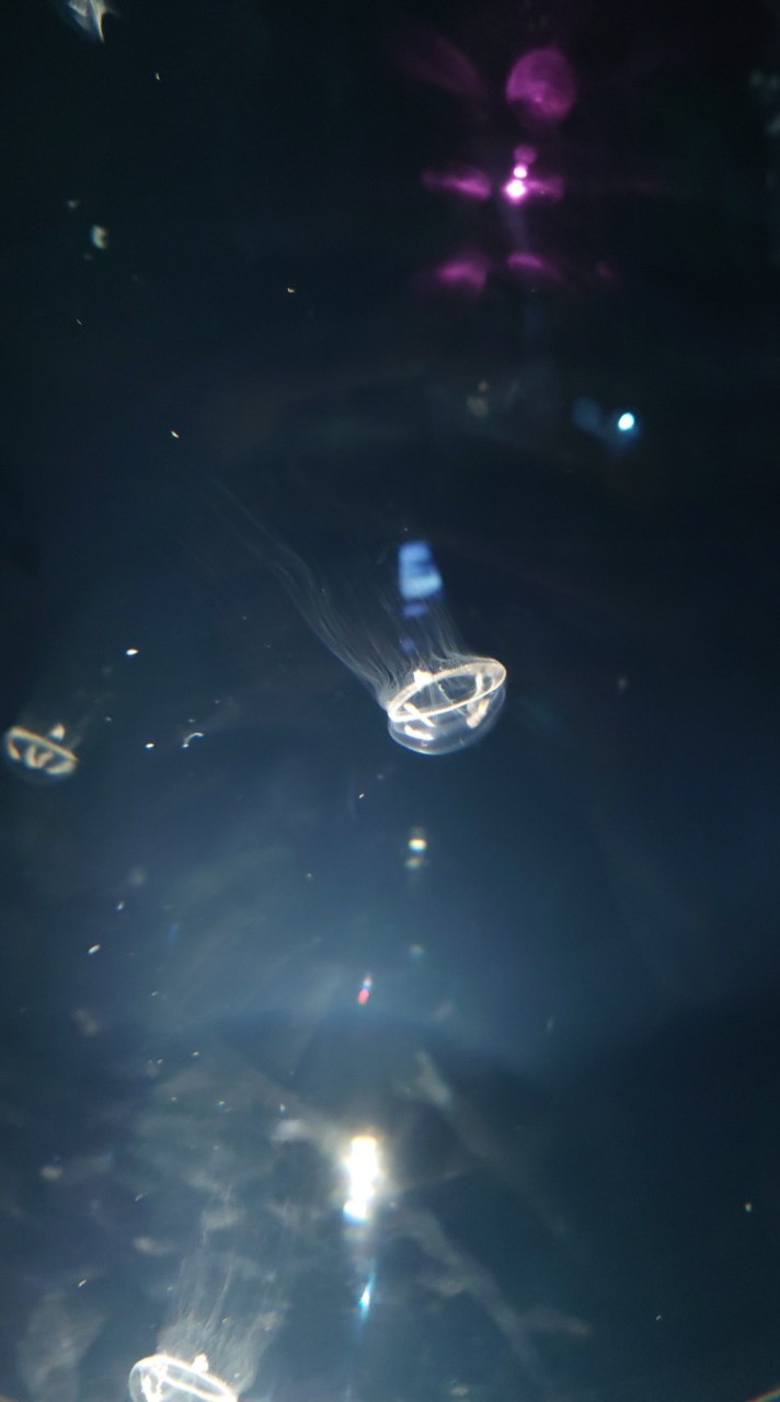 便利標標粉轉黑