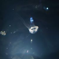 便利標標粉轉黑