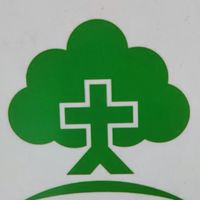 大樹藥局-淡水中山店