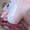 超健全なオプチャ