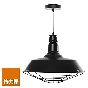 特力屋自有品牌產品，採用E27燈頭，可依個人使用不同色溫球泡，工業風設計，適合家居裝飾，鐵線...