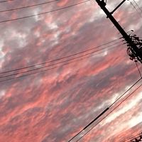 雑談オプ！暇な人やら絵描きしたい人やら歌いたい人やら誰でもおいでぇ〜！(荒らし❌出会い厨❌即抜け❌)