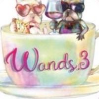 Wandsland communityオプチャ