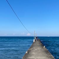 南房総満喫ツアー🏖️