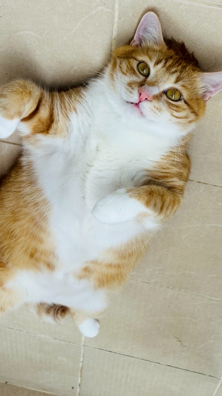 บ้านส้ม 19 (Baan Som 19)