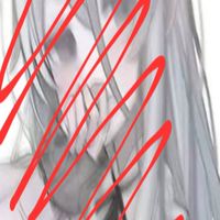 蛇魚黑粉群