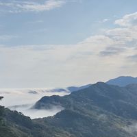 得利卡綠視界家族