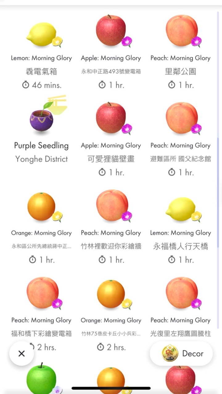 永和 頂溪 皮克敏 種花團