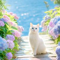 🌟ワイワイ楽しく盛り上げよう大人の世界🌏