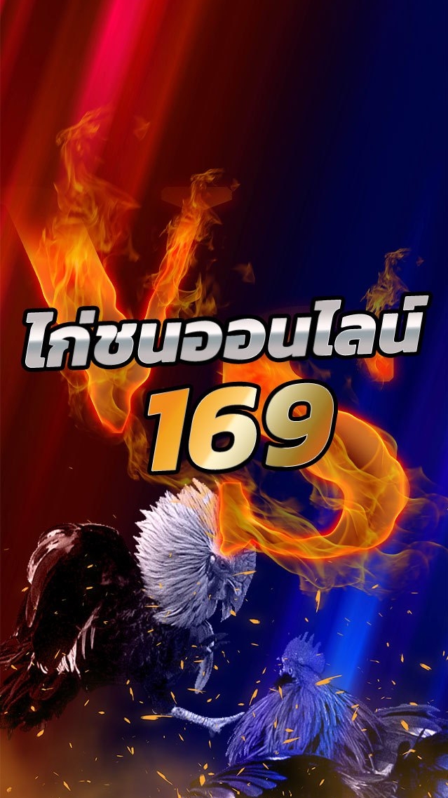 ข่าวสารไก่ชน169