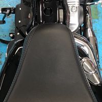 スポーツスター「ズ」