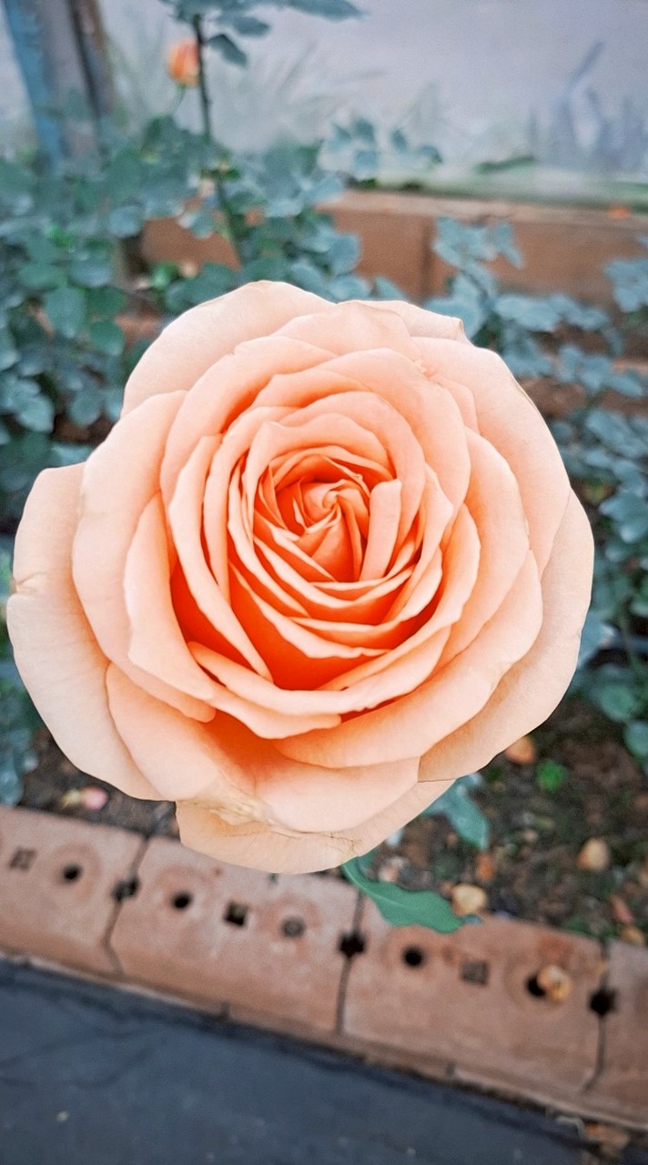 งานกลุ่ม เคมี