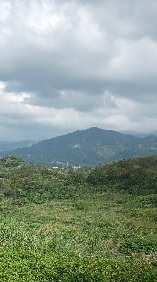 大眾房地產致富