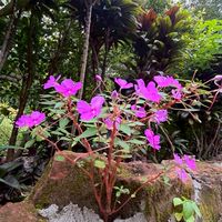 รับเรื่องร้องเรียน