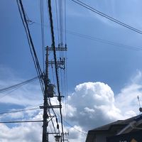 ジャニーズと禁断の恋💗