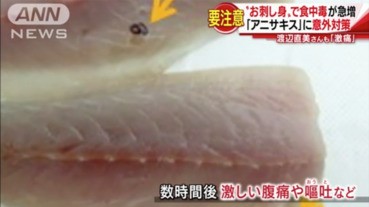 到日本吃魚生的時候要小心的事……