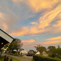 大学生　東京で新しく友達作り