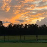 cricket練習 グループ(ノート見てください)