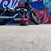 Harley-Davidsonスポーツスター☆愛知の部屋🏍️