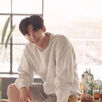 이종석ファン(イジョンソクファン)