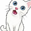 童心戰鬥陀螺x