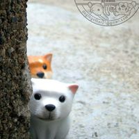 當我們ㄍㄡˇ在一起（Dogtogether studio）純聊天分享區