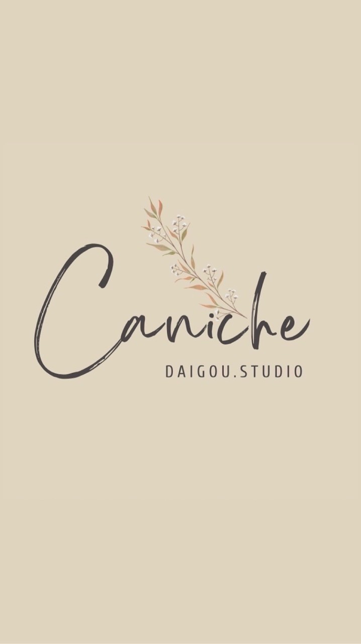 Caniche_Studio