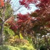 写真と言の葉たち🍀折々の散歩道🍀