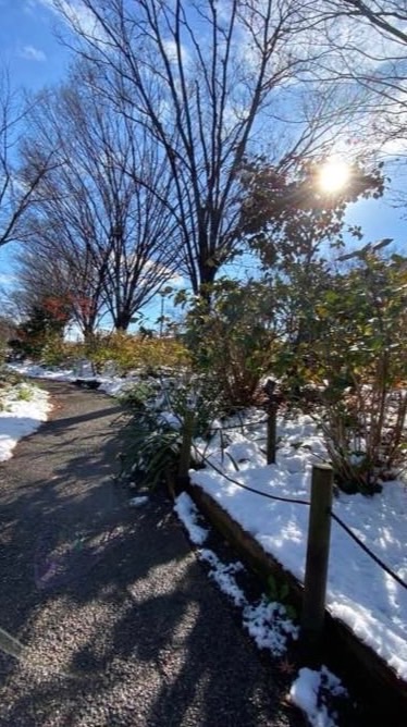 写真と言の葉たち🍀折々の散歩道🍀