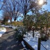 写真と言の葉たち🍀折々の散歩道🍀