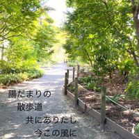 写真と言の葉たち🍀折々の散歩道🍀