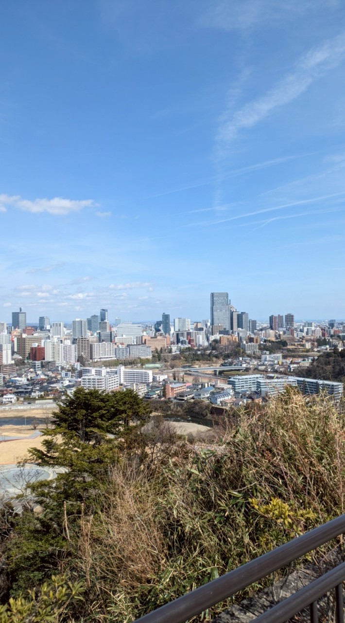 日常的なマニア