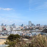 日常的なマニア