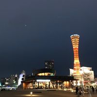 芝芝醬代購