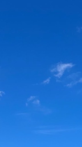【MARCH】　27卒就活無双