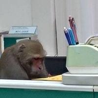 我們不延B 一定沒問題