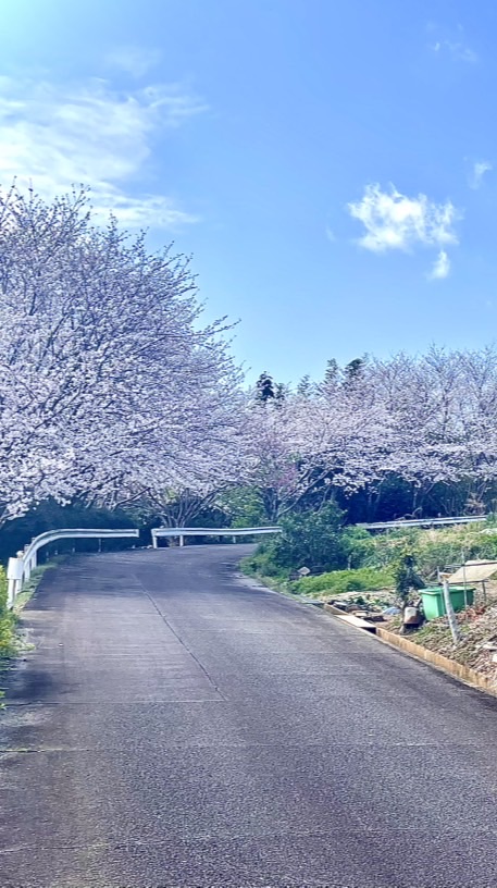 中学、高校、大学生までの場