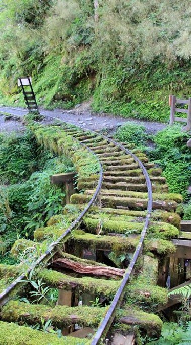 揪吃美食、看電影、走步道