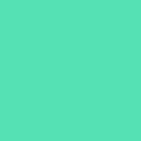 คณะสีเขียวมรกต 69
