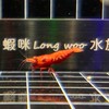 蝦咪long Woo 水族