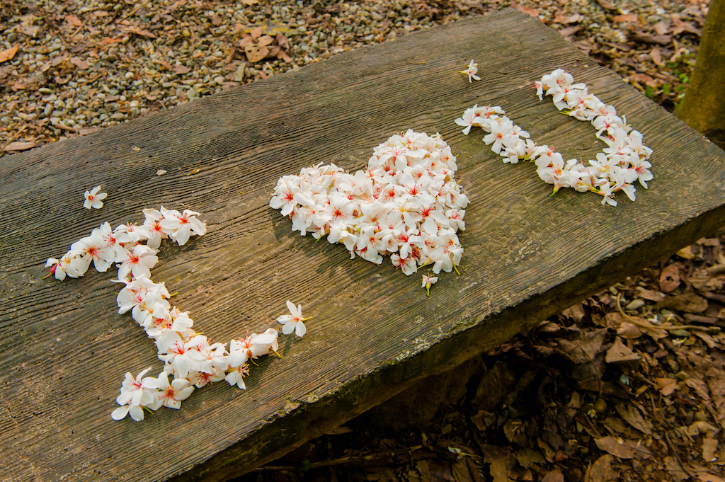 圖片來源/shutterstock.com