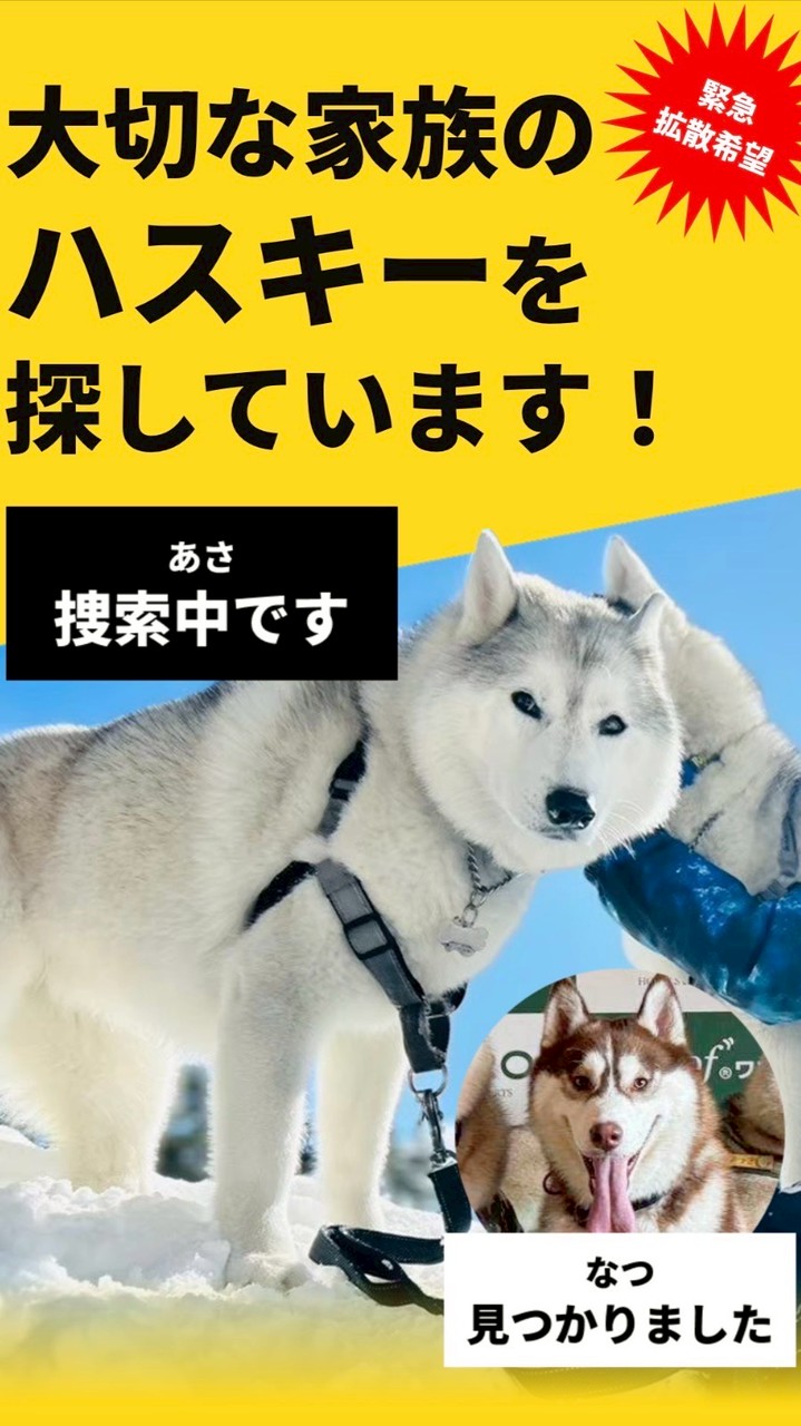 あさなつ捜索