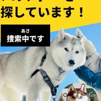 あさなつ捜索