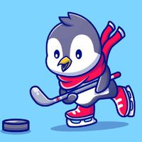 *溜冰*曲棍球 專業知識