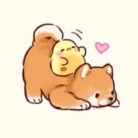 ชาติ_หมา