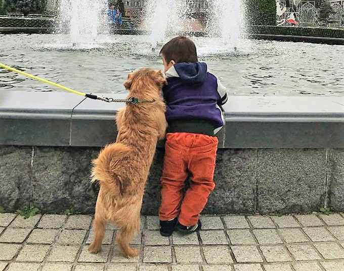 ダウン症の小学生を支えるテリア犬は 兄であり弟であり親友