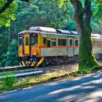 集集活動快訊